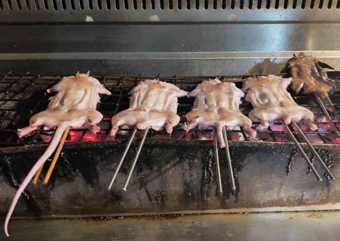 原汁原味烤老鼠-"这个夏天最97纪录片当然是人生一串作为.