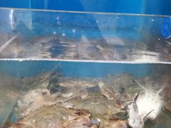 -宾朋海鲜特色美食餐厅·纯手工鲅鱼水饺(兴海路店)