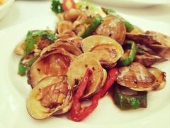 豉汁炒白贝-东江海鲜酒家(艺都分店)