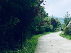 -少华山国家森林公园
