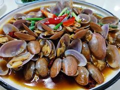 葱姜炒花蛤-鑫悦楼煎蟹·16年海鲜大排档
