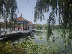 -长春市南湖公园