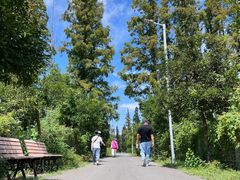 -上海长兴岛郊野公园