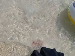 -重庆海昌加勒比海水世界