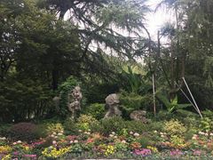 -杭州西湖柳莺里酒店
