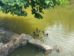 -水濂山森林公园