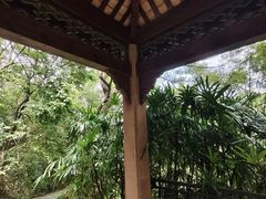 -水濂山森林公园