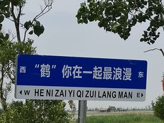 -盐城丹顶鹤湿地生态旅游区