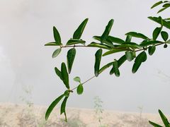 -济南方特东方神画