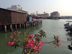 iphone_upload_pic-姓氏桥