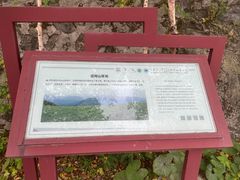 -白草畔自然风景区