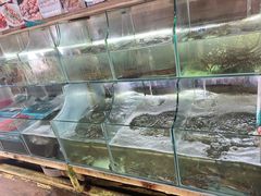 -罗源湾8号渔排