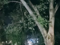 -溪口-滕头旅游景区