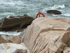 -广东惠东海龟国家级自然保护区
