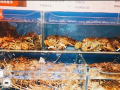 -必点海鲜·海肠捞饭·鲅鱼水饺(滨江道店)