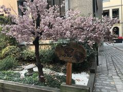 -徐家汇源景区-衡山坊