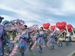 -荷兰花海
