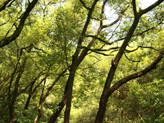 -宁波市保国寺古建筑博物馆
