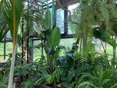 -北马山庄植趣咖啡