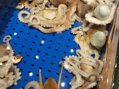 -高佳庄·舟山海鲜(海景旗舰店)