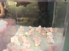 -狐狸和向日葵(北京路店)