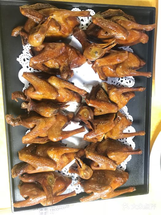 鸽王世家(东华东路店)图片