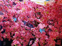 -福州奇幻解压馆(东泰禾旗舰店)