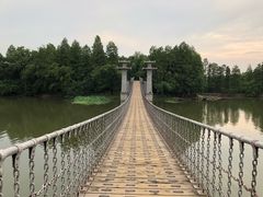 -东湖落雁景区