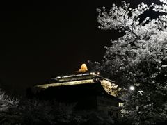 -武汉大学-樱园