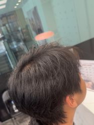 -YESIDO椰岛造型
