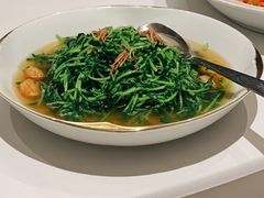 -伯衡55·吉品轩(乌鲁木齐南路店)