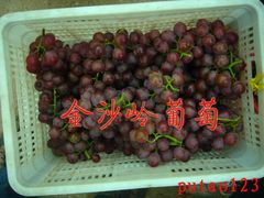 jf003-大泽山风景名胜区