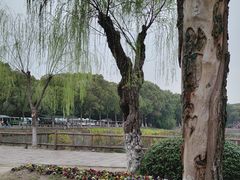 -沙家浜风景区