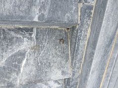 iphone_upload_pic-定都峰