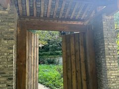 -南山植物园