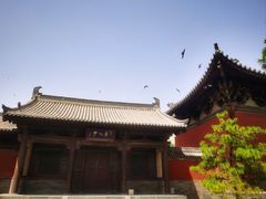 -善化寺