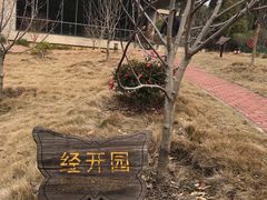 -天花井景区
