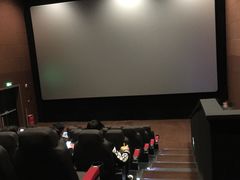 -SFC上影百联影城(川沙IMAX店)