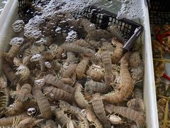 -大湾区中央湿地公园-十九涌