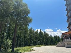 -塞罕坝国家级自然保护区