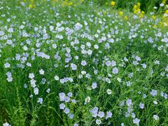 -中国天府农业博览园