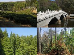 -九真山风景区
