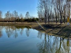 -东郊湿地公园