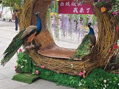 -西双版纳勐泐文化旅游区