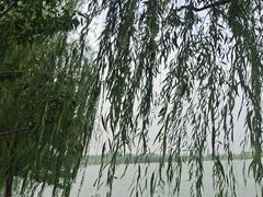 -玄武湖景区-情侣园游乐场