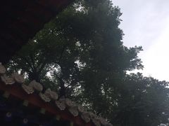 -洛阳周公庙博物馆