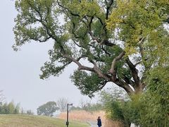 -良渚古城遗址公园