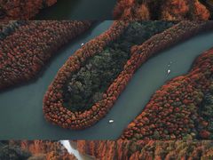 -上海海湾国家森林公园