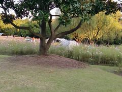 -上海滨江森林公园