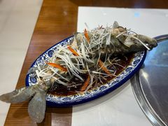 -乡土特色.冷锅鱼.牦牛肉汤锅